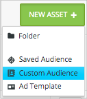 New asset selected with custom audience highlighted.