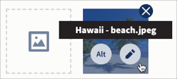 Um cursor apontando para uma miniatura de imagem, revelando as opções para adicionar texto alternativo e editar a imagem.