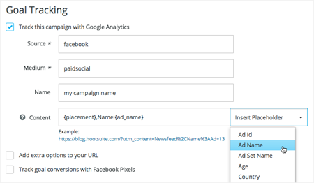 Acompanhamento de metas com rastrear esta campanha com o Google Analytics selecionado mostrando configurações de exemplo e Inserir lista de espaços reservados com o nome do anúncio selecionado.