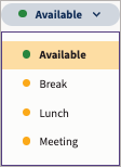 O menu de status com exemplos de opções de status ausentes. 