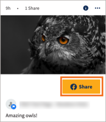 Uno screenshot di un post di Amplify con il logo di Facebook, come parte del pulsante "Condividi".