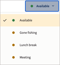 O menu de status com exemplos de opções de status ausentes. 