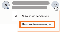 Example member with More actions selected and Remove team member highlighted.