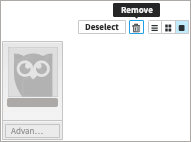 Manage area for a team member with remove option highlighted.