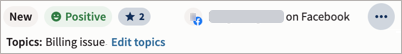 Example of a conversation header with Fast Food topic applied and VIP contact selected.