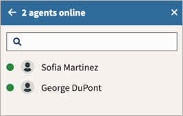 Team chat showing two online team membmers.