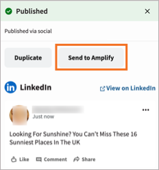 The Details view of a post in the content calendar, with the Send to Amplify option.
