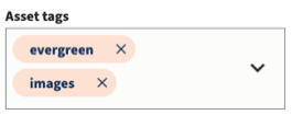 The Asset tags section of the media asset details screen.