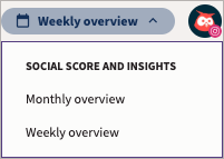 Weekly overview selection showing options for both weekly and monthly views.