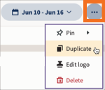 More options menu with duplicate report option highlighted.