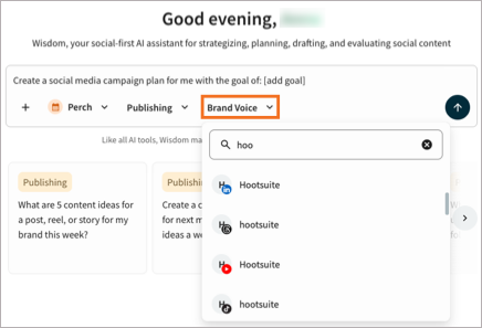 The Wisdom conversation window with the Brand voice option highlighted.
