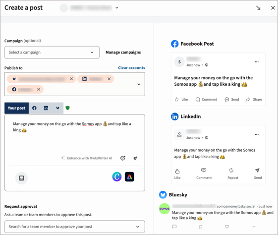 Sample post with previews for Facebook, LinkedIn, and Bluesky.