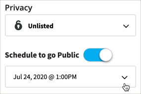 YouTube video privacy settings.