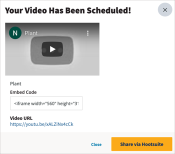 Pop-up with YouTube video thumbnail, embed code, and video URL.