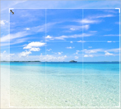 A sample image with crop guides.