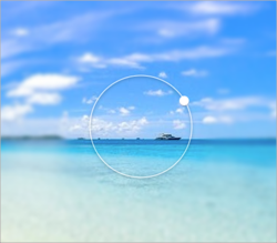 Guides being used to focus a sample image.