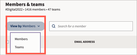 Members and teams with View by highlighted.
